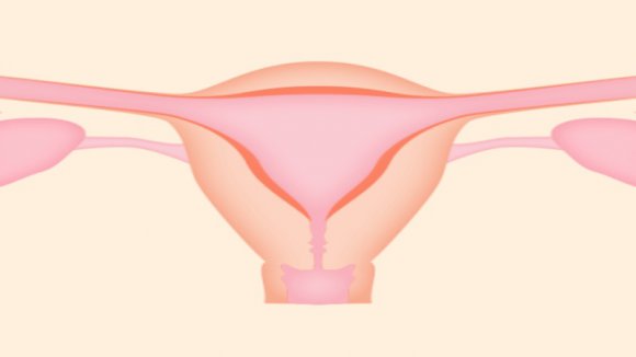 备孕不怀孕？这个和“子宫内膜”有关的小秘密，越早知道越好~