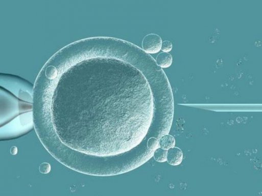 做试管顺利的姐妹，通常有这4个共同点！