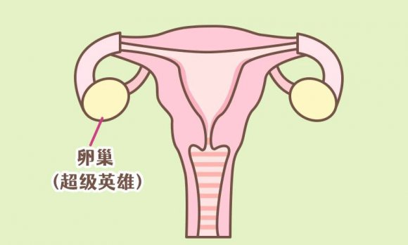 卵巢提前“退休”？可我还年纪轻轻...